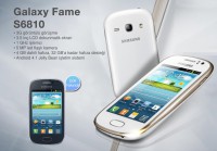 Galaxy Fame S6810